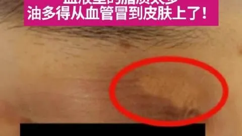 韦德米兰时装周秀场风采，与，IM电竞，妻子尤尼恩恩爱同框，李现杨幂等明星争奇斗艳